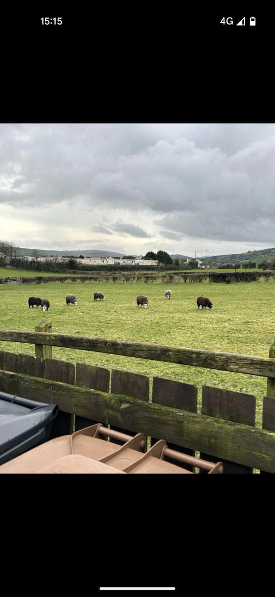 Cosy Cottage With Sea & Mountain Views Carnlough Bagian luar foto